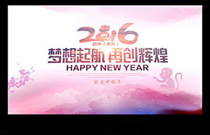 2016年年会，，，，，，，妄想起航-再创鲜丽